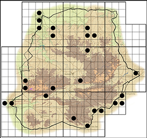 Colotis evenina Waterberg distribution